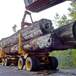 Camion de grumes - 50 stères