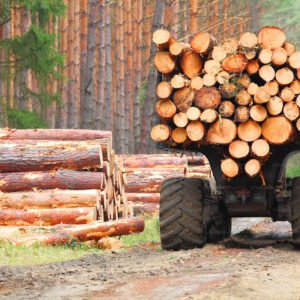 Billons de bois - 20 stères