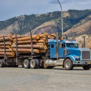 Camion de grumes